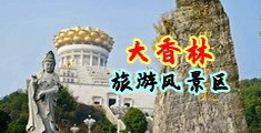 杏吧有声激情小说中国浙江-绍兴大香林旅游风景区